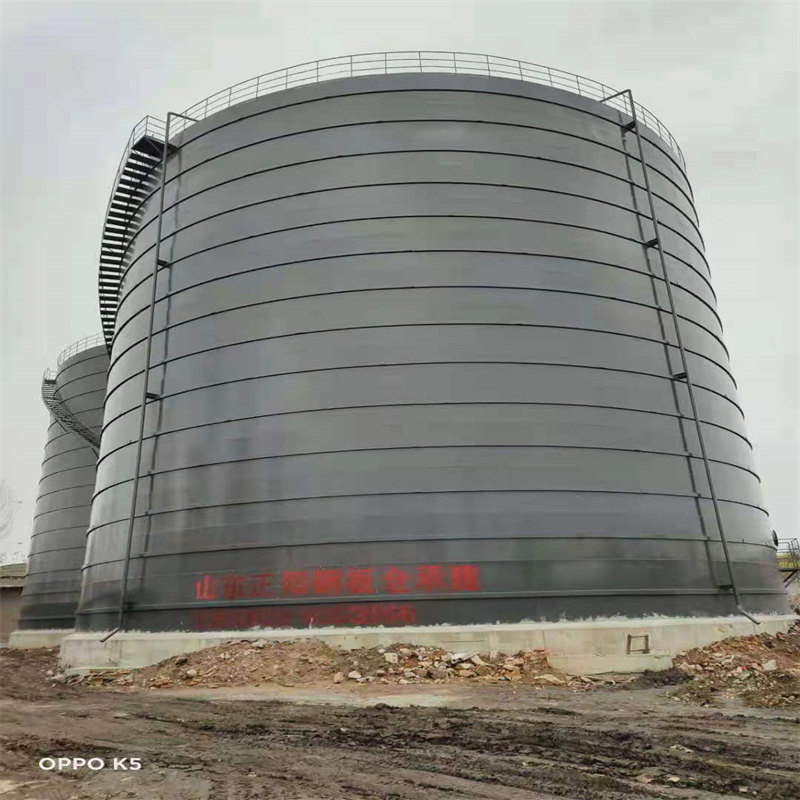 临澧3万吨大型钢板库