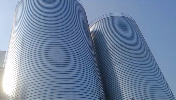 临澧2座混凝土高架卷板仓